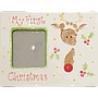 Reindeer FP Message Frame